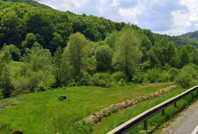 Ultimul teren intravilan Valea Măierușului | PUZ turistic aprobat | COMISION 0% - 2