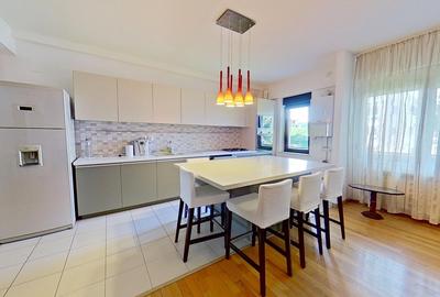 Iancu Nicolae, 3 camere, mobilat & utilat full, 2 parcari, 2 bai, retras, padure - 3