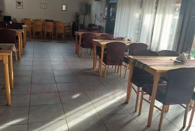 CASĂ\VILĂ DE VÂNZARE \COM. OBREJA\SAT IAZ\CARAȘ-SEVERIN - 17