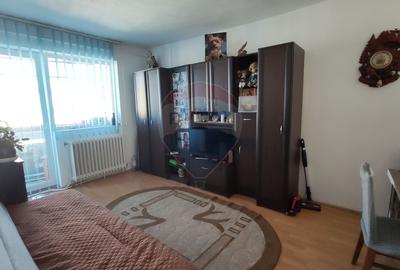 Apartament 2 camere, renovat , panoramă, comision 0% - 16