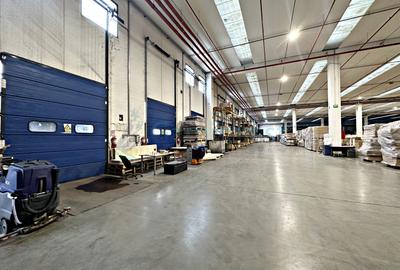 Hala pentru depozitare cu 2 rampe, Parcul Industrial Bors,Bihor - 1