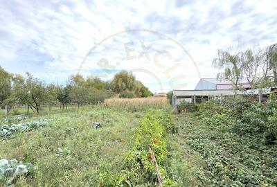 Casa 3 camere, Teren 3.263 mp, Str.Marasesti Nr.16 -Carei-Comision 0% cumparator - 10