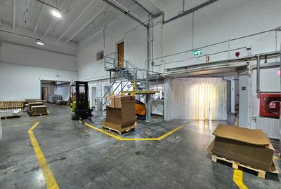 Hale Industriale 5065 mp de vanzare Str. Bradului - Bacau - 15
