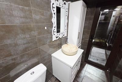 Apartament renovat mobilat si utilat Siderurgisitlor- Micro 16 - 14