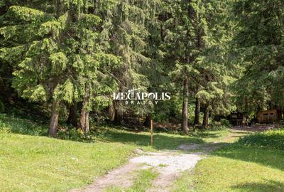 Teren intravilan | Moieciu de Sus | 12307 | PUZ - 21