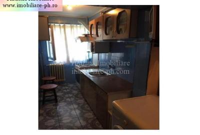 Apartament 2 camere de vanzare:Vest-(Al. Iezerului),etajul 3,(mobilat si utilat) - 4