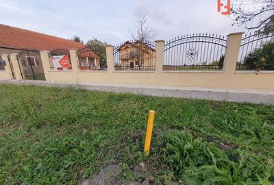Vila cu 5 camere, 236 mp, teren 5805 mp, gaz, Brestea - Denta - 9