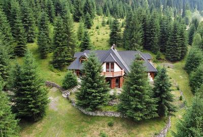 Cabana de vanzare cu 2 ha teren - 1