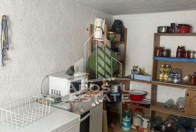 Casă individuală  în Recaș ,teren 1050 mp cu front pe două străzi . - 9