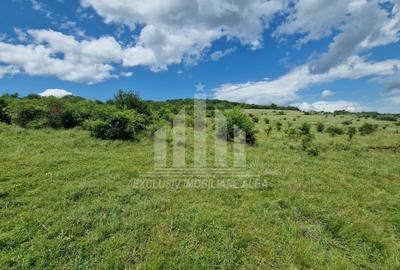Teren extravilan | De vanzare | 1400 mp | 13 ml deschidere | Paclisa - 7