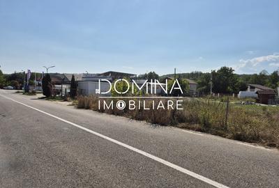 Teren de vanzare in Ursati, pretabil constructii rezidentiale  si comerciale - 5