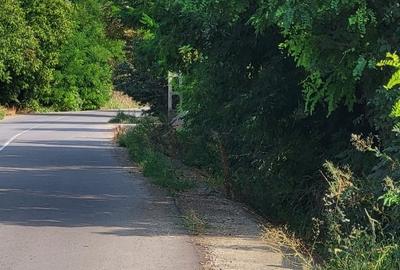 Teren central cu casa batraneasca - 2