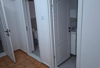 160 mp,spatiu comercial, Calea Bucuresti - 3