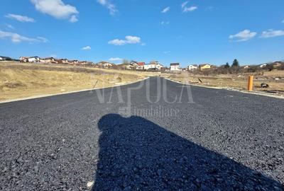 Teren intravilan pentru constructii de vanzare in Dambul Rotund - 4