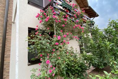 Vanzare Vila Moderna P+M, 6 camere, teren 1622 mp, in Galati, zona METRO - 19