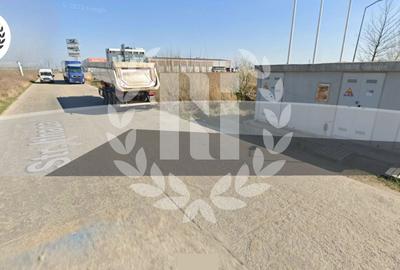 Teren Industrial Hale | A1 Bolintin Deal | București-Pitești Km 25 - 6