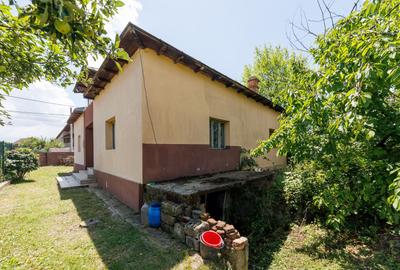Casa cu teren - Prundu-Ideala pentru locuit sau dezvoltare imobiliara - 13