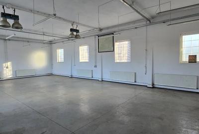Hala industriala si curte proprie zona Calea Surii Mici - 1