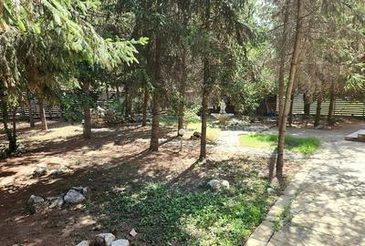Baneasa Teisani vila 7 camere teren 1000 mp - 5