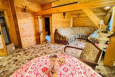 Casa spatioasa cu teren 739 mp in zona Mehala - 16