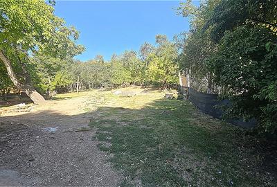 Investiție în Grigorescu – 2.000 mp teren + casă închiriată | 3.100 €/lună - 13