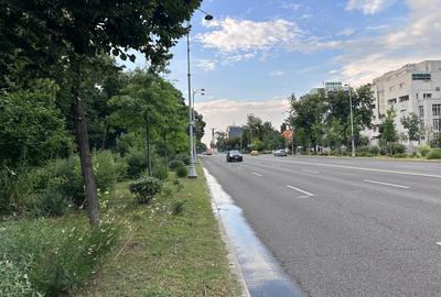Vila individuala DP2E cu garaj și curte în Kiseleff - 3