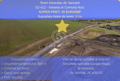 Teren Construcții intravilan de 80000 mp, în Frumușani