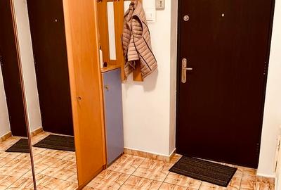 Garsoniera Mall Vitan, mobilată si utilată modern, renovată, curată, libera - 10