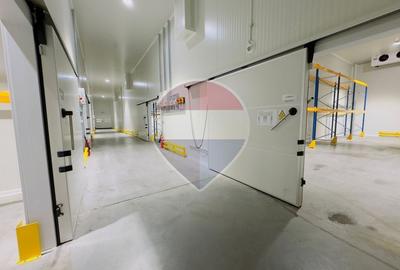 Depozit frigorific Oradea zona industriala - 9