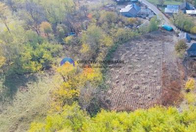 Teren intravilan de 11766 mp, în Costișa