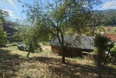 Casa si Teren Criscior - 16