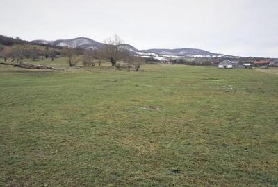 Teren Șieu-Măgheruș – 15 km de Bistrița | Potențial metropolitan - 2