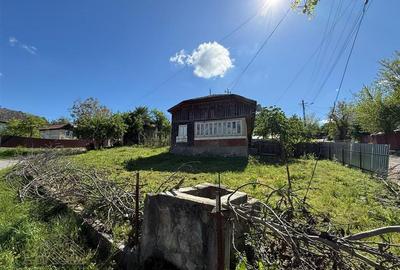 Casa si teren 1000 mp de vanzare Haulisca, Paulesti – 2 loturi, apa si curent - 10