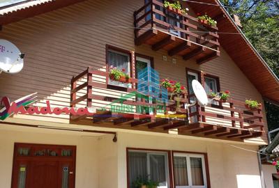 Spațiu comercial, de 450 mp, în Lepșa