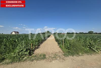 Teren intravilan 2000 mp si extravilan 1150 mp de vanzare in Vad - 1