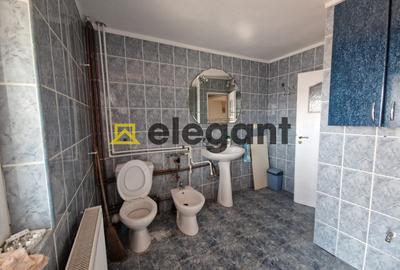Casa, 273 mp, P+E+M, teren 256 mp, Brestei-Policlinica Alymed - 23