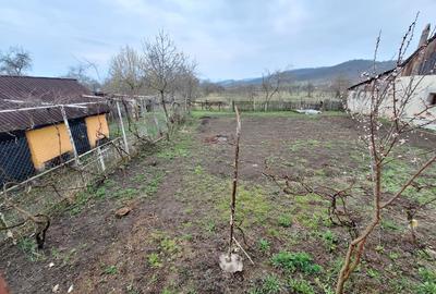 Casă cu teren 1.000 mp de închiriat în Agrij, județul Sălaj - 10