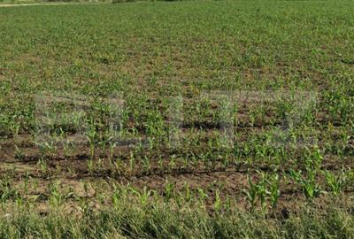 Teren agricol extravilan de 6100 mp, în Periferie