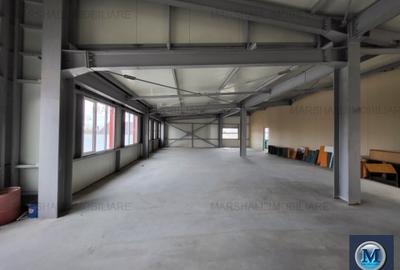 Spatiu industrial de vanzare, zona Exterior Vest, 798.55 mp #15366 - 8