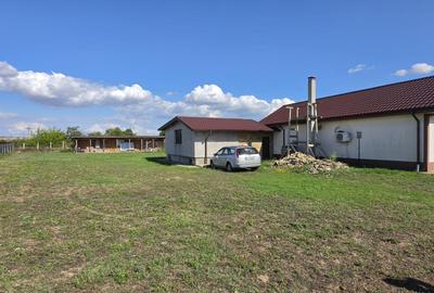 MIHAIL KOGALNICEANU-CASA LA SOL ,TEREN 2000 MP - 4