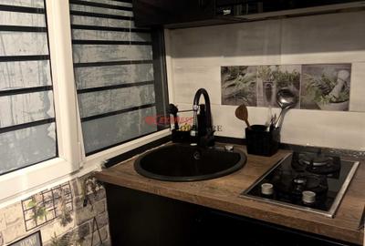Dristor, Ramnicu Valcea, Metrou, Loc parcare parcare, Petfriendly - 3