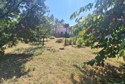 Casa de vanzare - in Orastie - 19