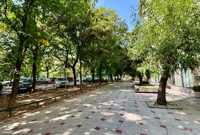 Apartament 2 Camere - Superb - Bulevardul Unirii - Loc parcare - Mobilat - 13
