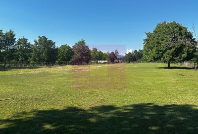 Teren agricol intravilan de 10072 mp, în Voila