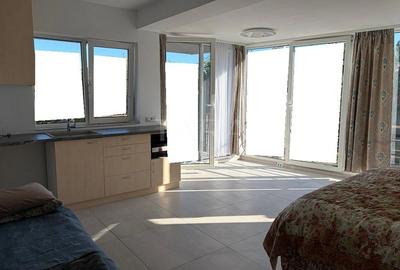 Apartament 1 cameră de închiriat – Gruia - 2