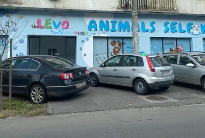 Stefan Cel Mare | Spatiu Comercial  | 189Mp | Bloc Consolidat - 1