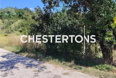 TEREN INTRAVILAN 1.736 MP | BOGATI, ARGES  |  30 km de Pitesti |deschidere  la - 4