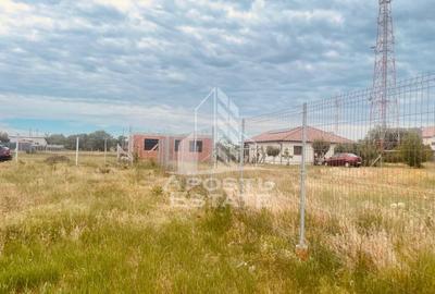Teren Intravilan cu Constructie Zimandu Nou - 20