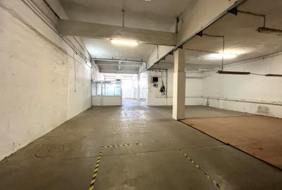 Hală industrială depozitare de inchiriat Zona Lipovei Iulius Mall Timișoara - 5