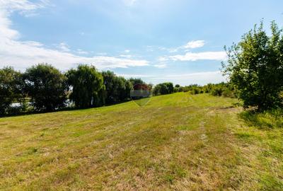 DOMENIU de 5,9 ha I Lac, Casă și Aerodrom – multiple destinații - 39